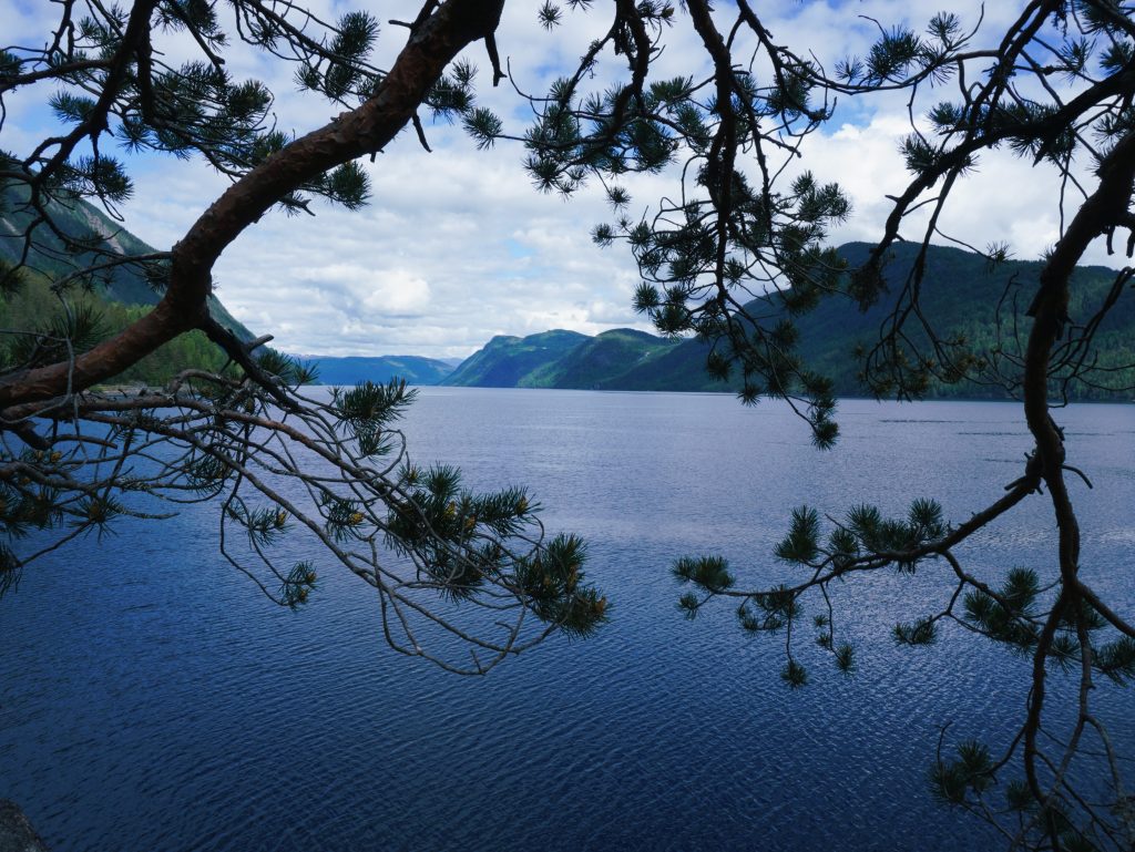 10-litnikh-marshrutiv-norvehii-iaki-u-trendi